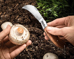 22074e68ae437c46cbc10656ce516cf0